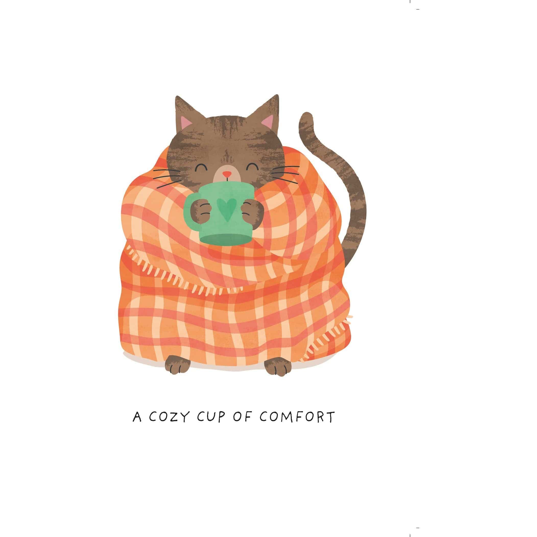 Pictura Cozy Cat Get Well Card from the Everyday Cards collection featuring a cute cat illustration for well wishes.